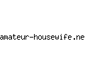 amateur-housewife.net