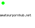 amateurpornhub.net