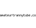 amateurtrannytube.com