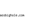 assbighole.com