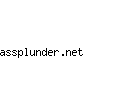 assplunder.net