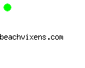 beachvixens.com