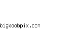 bigboobpix.com