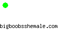 bigboobsshemale.com