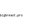 bigbreast.pro