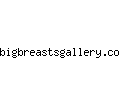 bigbreastsgallery.com