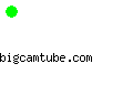 bigcamtube.com