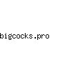 bigcocks.pro