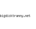 bigdicktranny.net