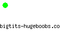 bigtits-hugeboobs.com