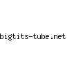 bigtits-tube.net