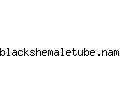 blackshemaletube.name