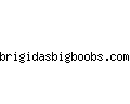 brigidasbigboobs.com