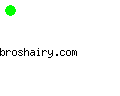 broshairy.com