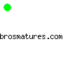 brosmatures.com