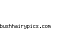 bushhairypics.com
