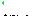 bushybeavers.com