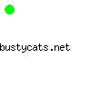 bustycats.net