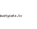 bustycats.tv
