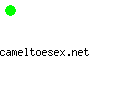 cameltoesex.net