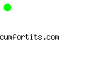 cumfortits.com