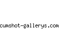 cumshot-gallerys.com