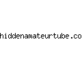 hiddenamateurtube.com