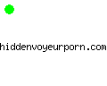 hiddenvoyeurporn.com