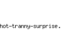 hot-tranny-surprise.com