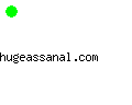 hugeassanal.com