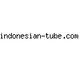 indonesian-tube.com