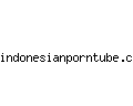 indonesianporntube.com