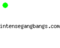 intensegangbangs.com