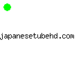 japanesetubehd.com