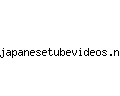 japanesetubevideos.net