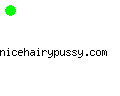 nicehairypussy.com