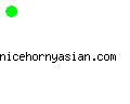 nicehornyasian.com