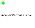 niceperfectass.com