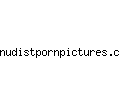 nudistpornpictures.com