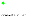 pornamateur.net