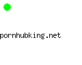 pornhubking.net