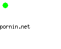 pornin.net