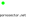 pornosector.net