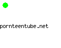 pornteentube.net