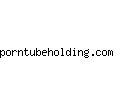 porntubeholding.com