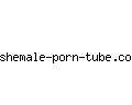 shemale-porn-tube.com