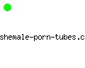 shemale-porn-tubes.com