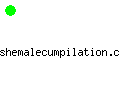shemalecumpilation.com