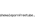 shemalepornfreetube.com