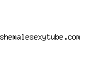 shemalesexytube.com